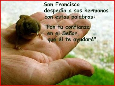 Etapa de compromiso Eclesial